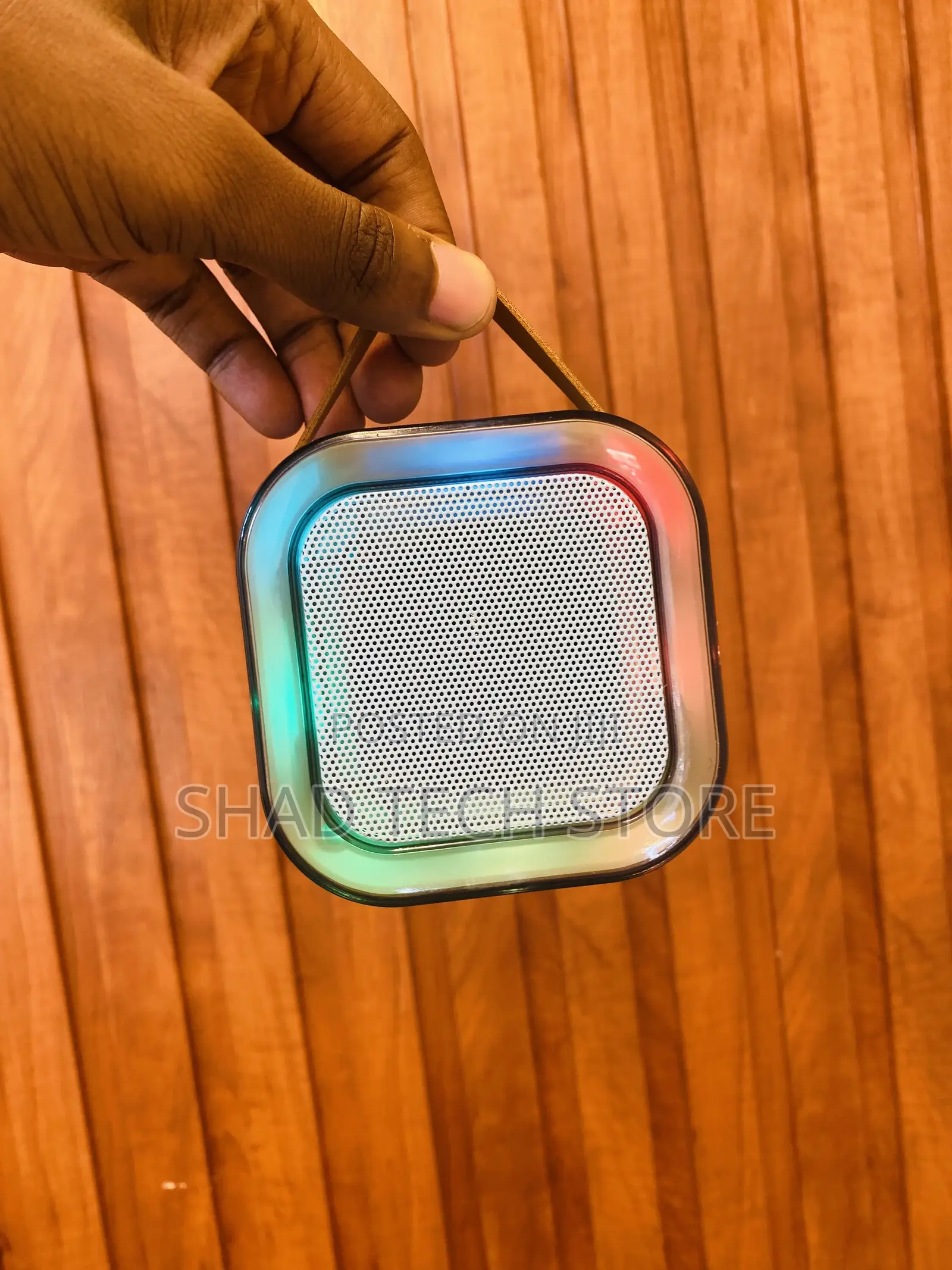 Wireless Karaoke Speaker