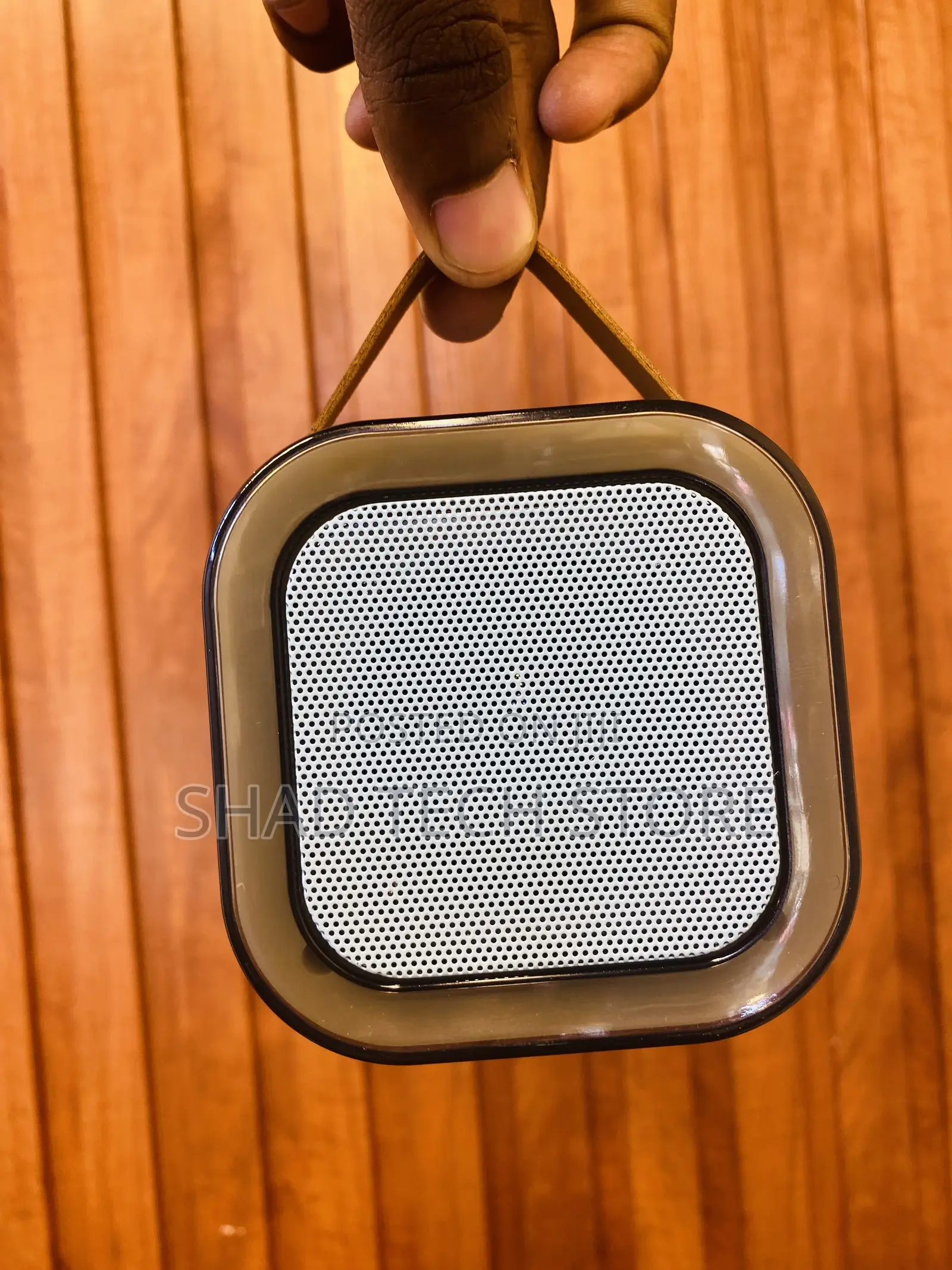 Wireless Karaoke Speaker