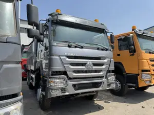 Ready to Order Used Howo 6x4 Tipper for Sale