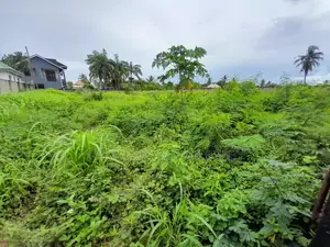 Plot for Sale Kigamboni Kisota