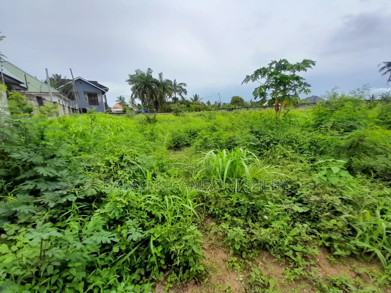 Plot for Sale Kigamboni Kisota