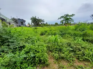 Plot for Sale Kigamboni Kisota