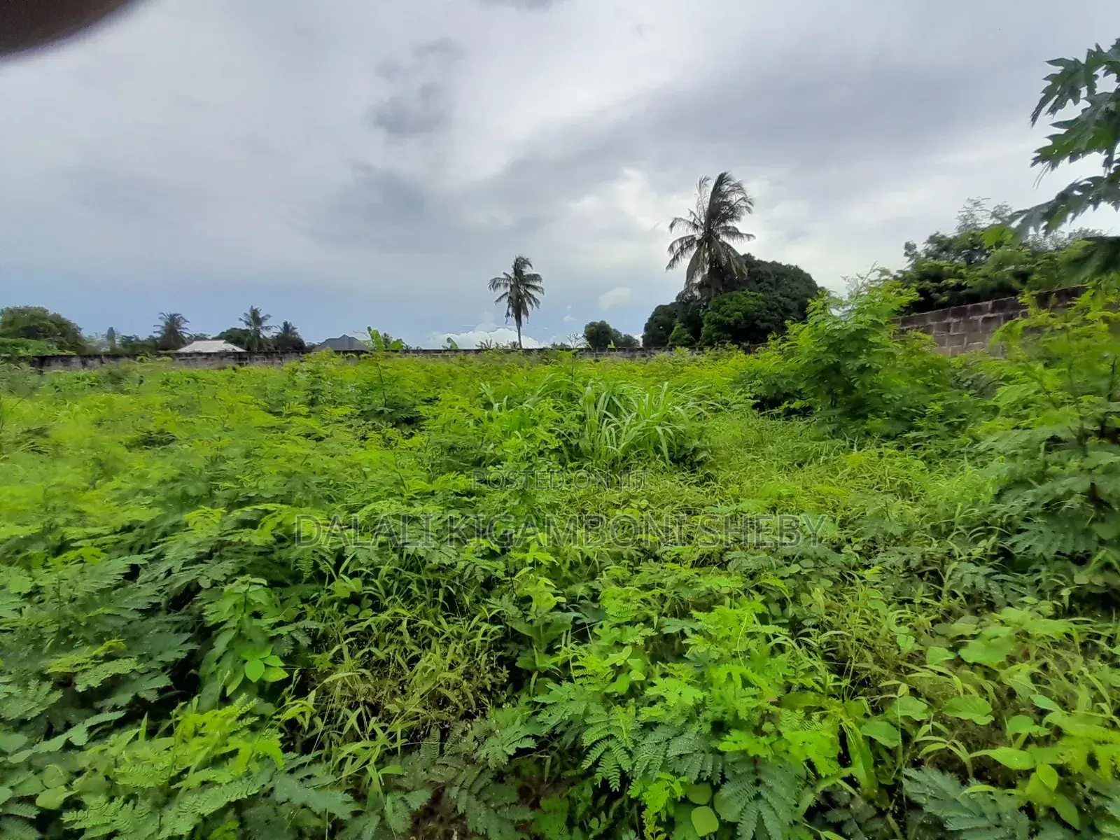 Plot for Sale Kigamboni Kisota