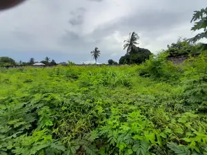 Plot for Sale Kigamboni Kisota