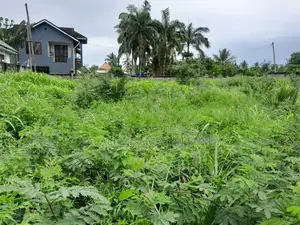 Plot for Sale Kigamboni Kisota