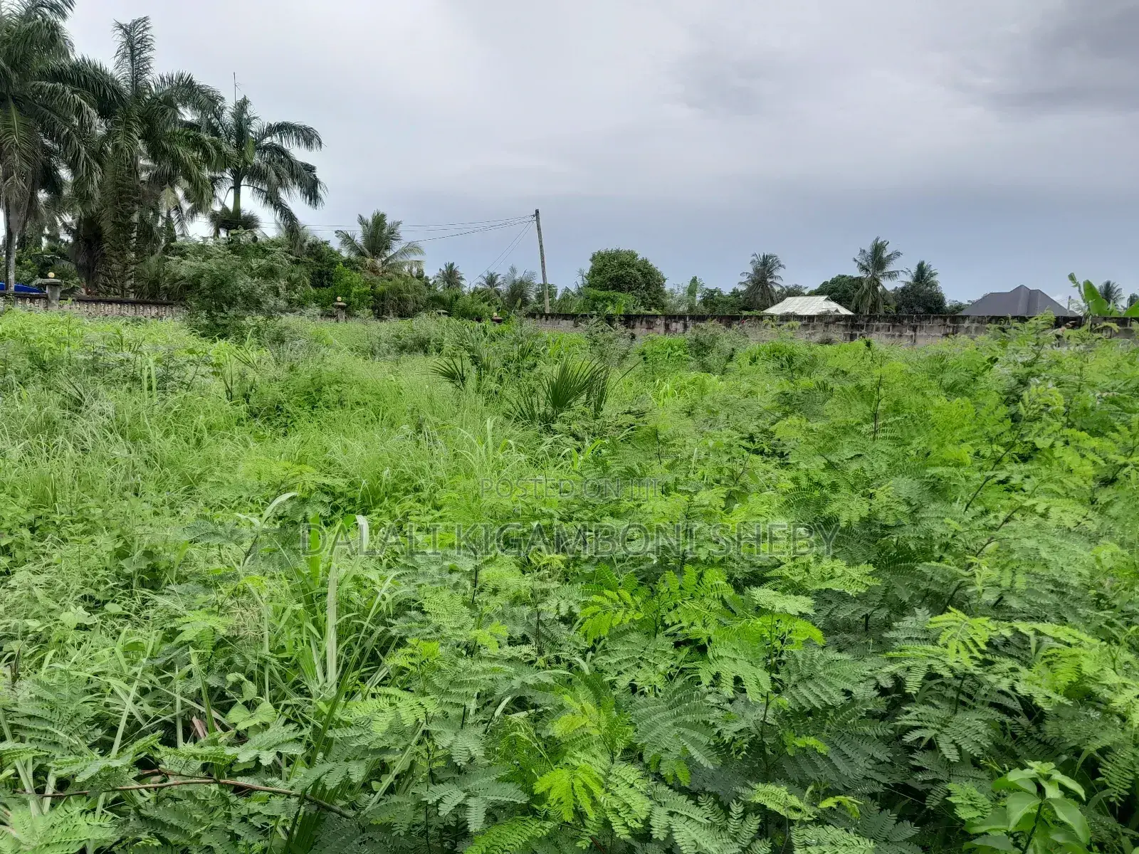 Plot for Sale Kigamboni Kisota