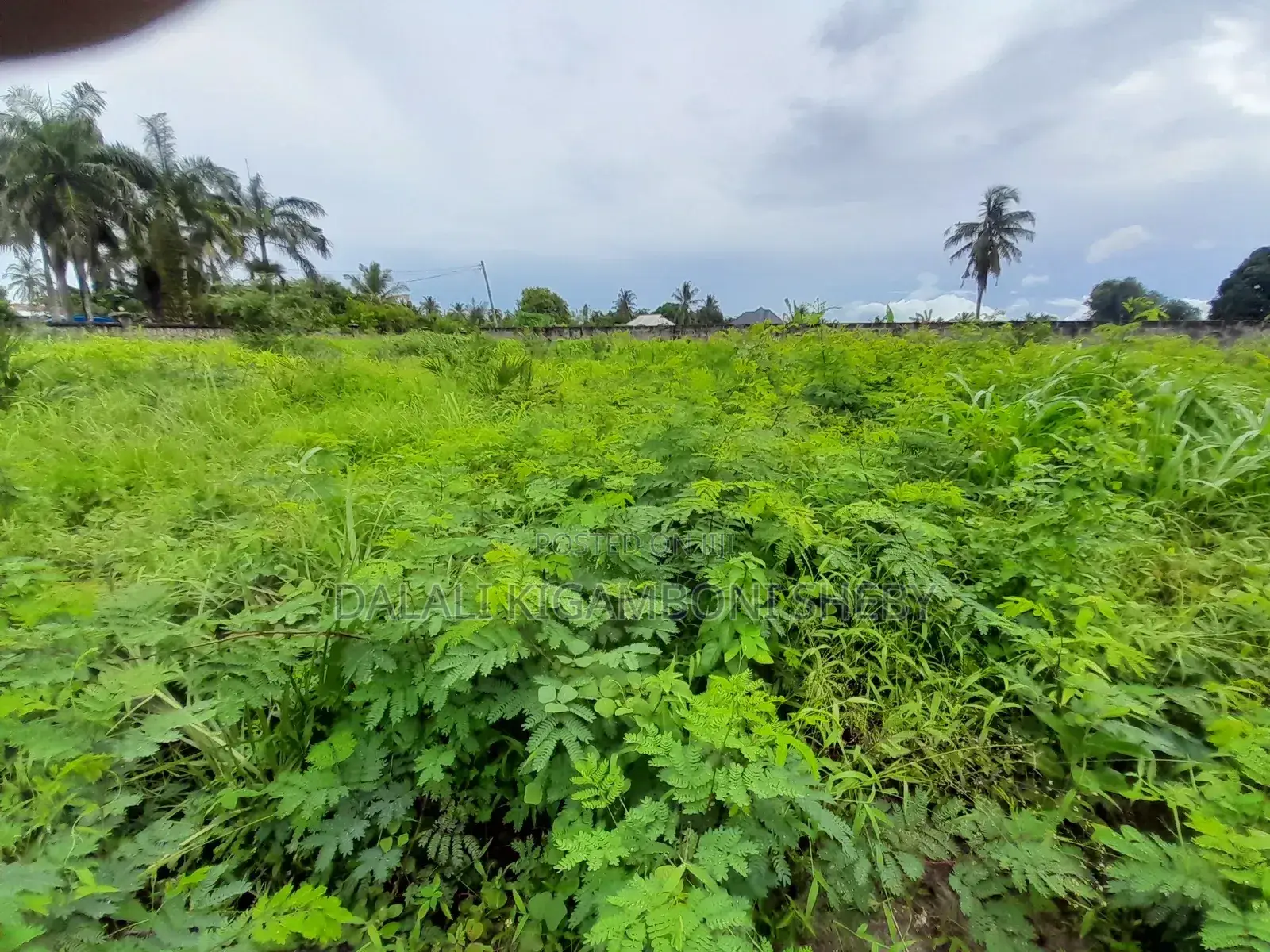 Plot for Sale Kigamboni Kisota