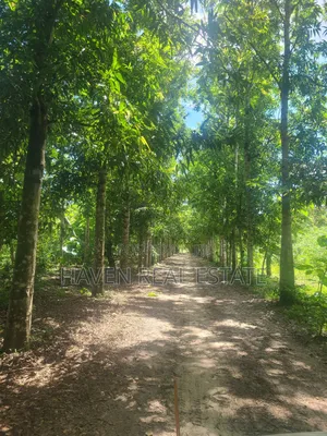 180 Acres Zinauzwa Mlandizi