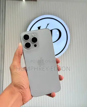 Apple iPhone 15 Pro Max 256 GB Silver