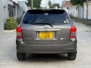 Toyota Corolla Fielder 2009 Gray