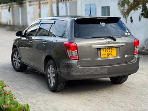 Toyota Corolla Fielder 2009 Gray