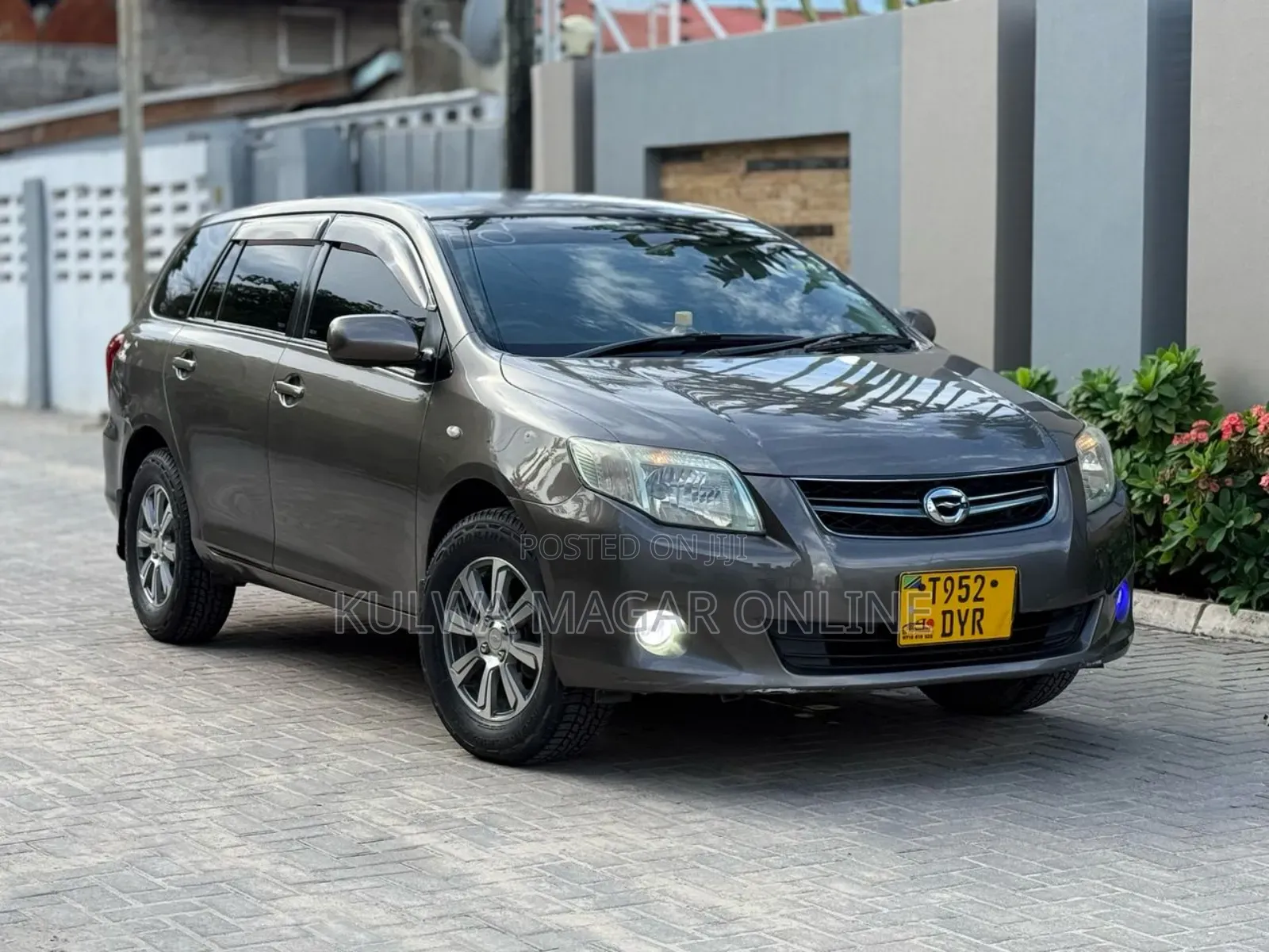 Toyota Corolla Fielder 2009 Gray