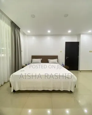 Furnished 3bdrm Apartment in Kariakoo for rent