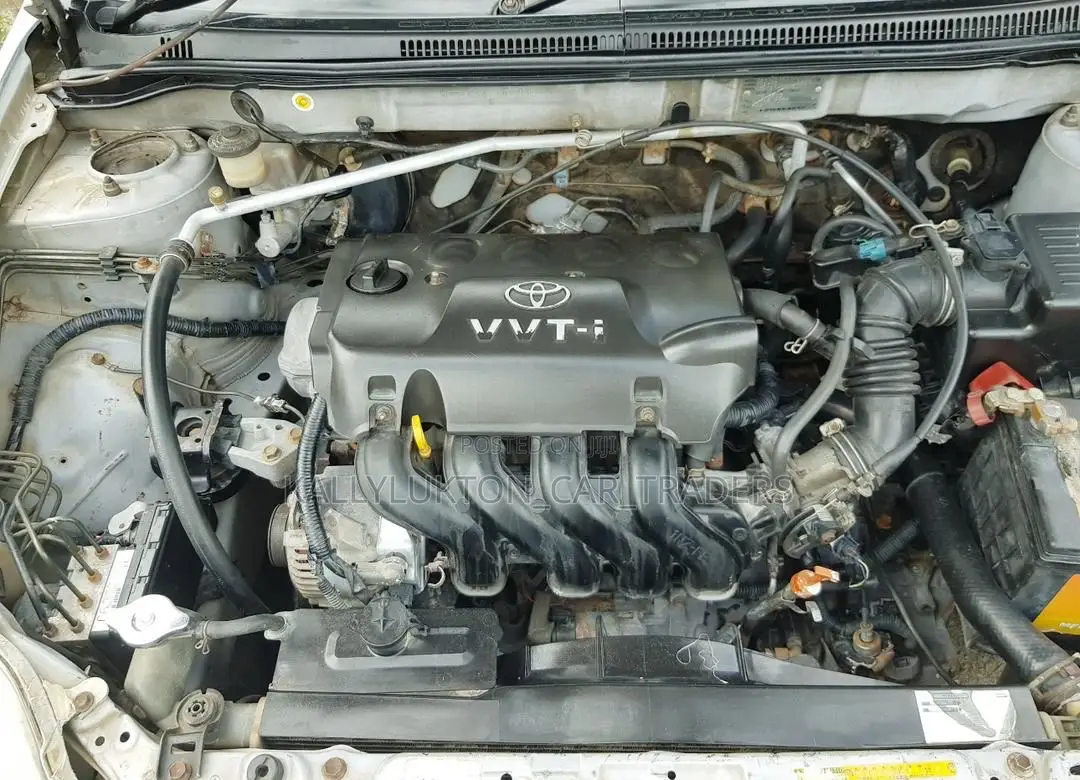 Toyota Succeed 2005 White