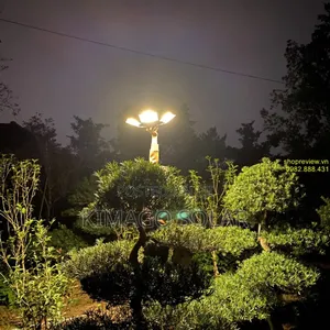 Garden Glow All Night 500w Solar Power