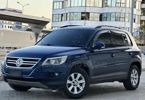 Volkswagen Tiguan 2010 Blue