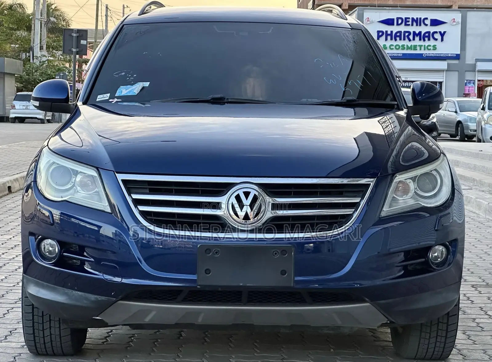 Volkswagen Tiguan 2010 Blue