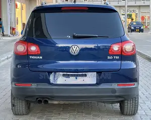 Volkswagen Tiguan 2010 Blue