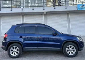 Volkswagen Tiguan 2010 Blue
