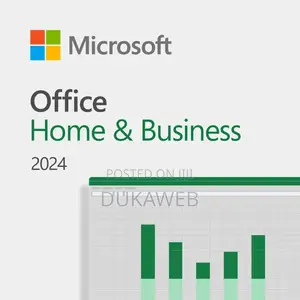 Microsoft Office Pro 2024