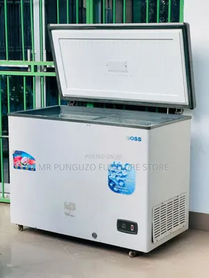 Boss Freezer // 300l // Bei 700,000
