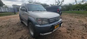 Toyota Land Cruiser 1999 Silver