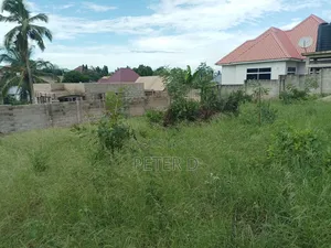 Kiwanja Tambarale Makabe 550sqm