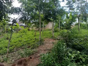 Kiwanja SQM 500 Mbezi Makabe Kanisa La Roma