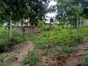 Kiwanja SQM 500 Mbezi Makabe Kanisa La Roma