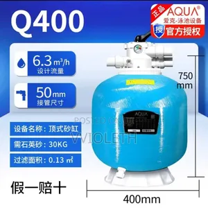 Swimming Pool Filter