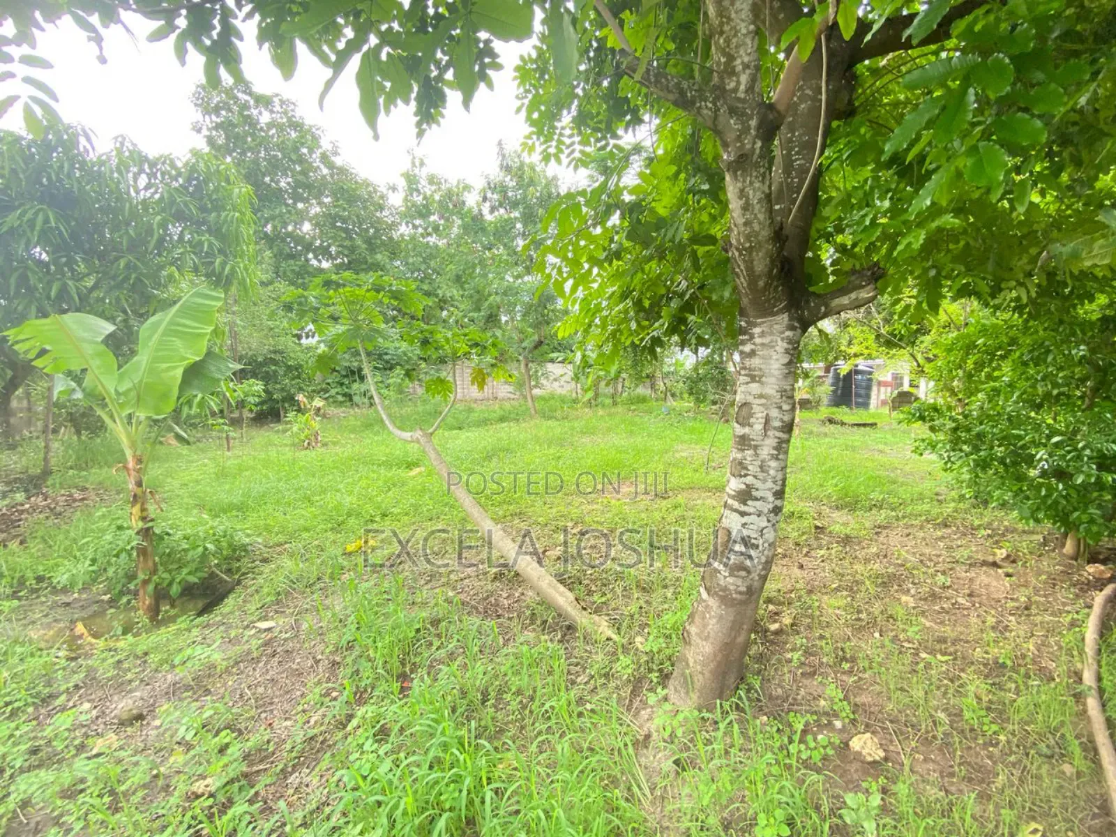 3bdrm House in Excela Joshua, Goba for sale