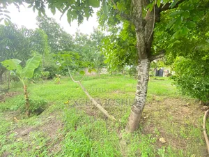 3bdrm House in Excela Joshua, Goba for sale