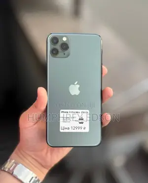 Apple iPhone 11 Pro Max 256 GB Gray