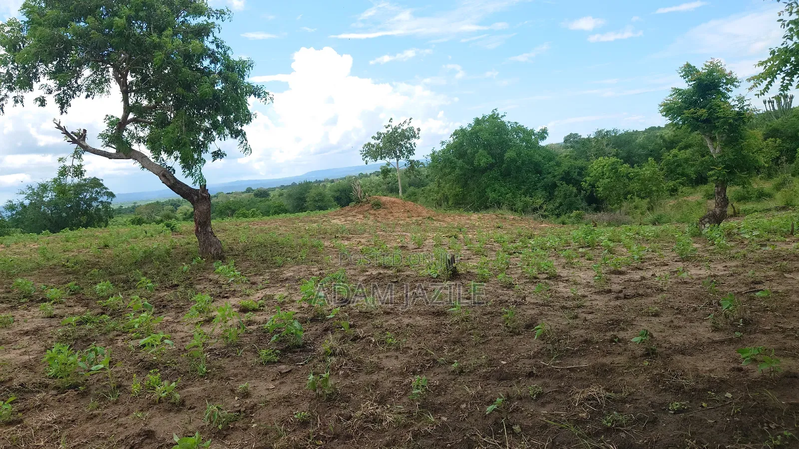 Shamba La Ekai 100 Linauzwa Mwetemo Bagamoyo