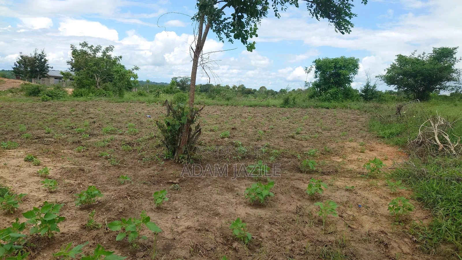 Shamba La Ekai 100 Linauzwa Mwetemo Bagamoyo