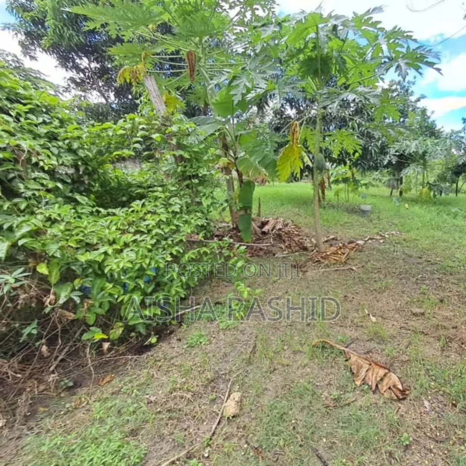 4bdrm House in Kibamba for sale