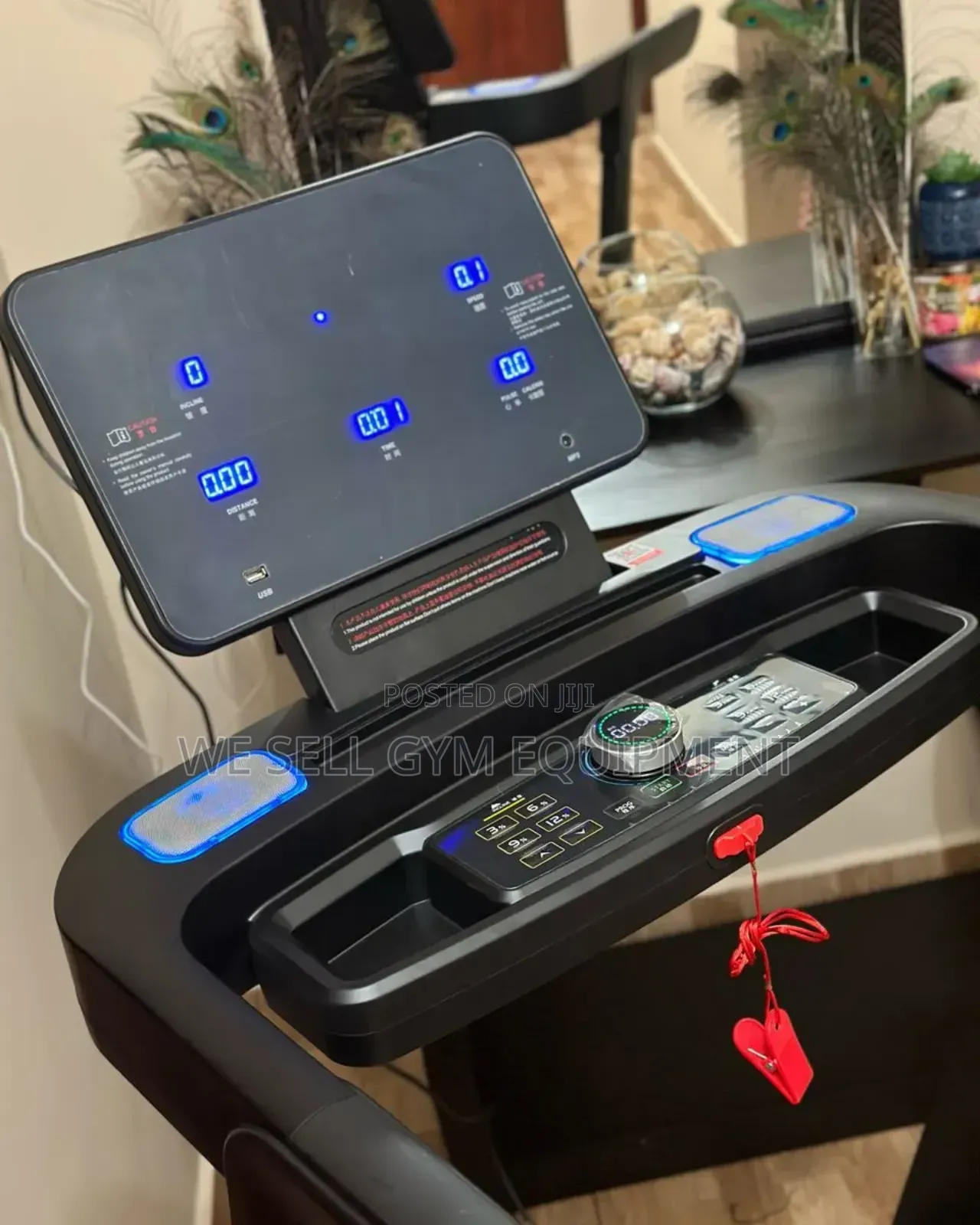 Ciapo Brand New Treadmill