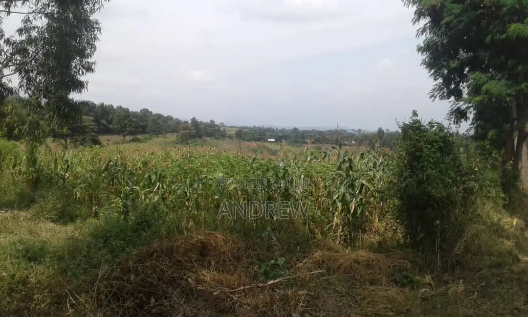 Shamba Eka 3 Kuuza Kwa Ugoro, Near Dolly
