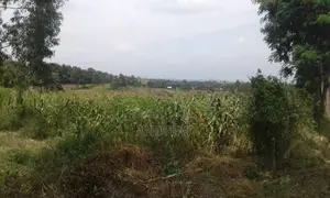 Shamba Eka 3 Kuuza Kwa Ugoro, Near Dolly