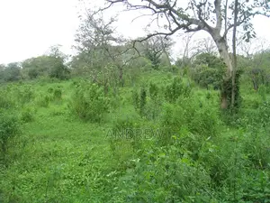 Shamba Eka 3 Kuuza Kwa Ugoro, Near Dolly