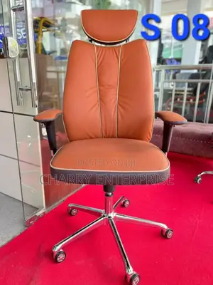 Luxury Adjustable and Comfortable Office or Home Study Chair