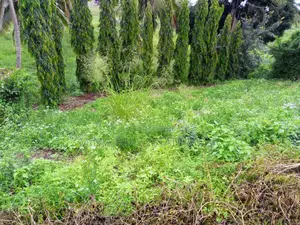 Kiwanja Kinauzwa Mbezi Msakuzi