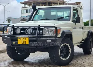 Toyota Land Cruiser 2008 Pearl