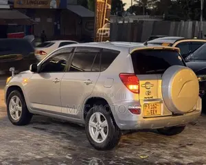 Toyota RAV4 2009 Silver