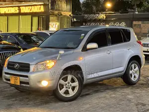Toyota RAV4 2009 Silver