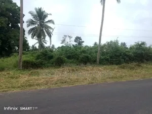 Shamba Linauzwa Bungu