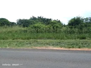 Shamba Linauzwa Bungu