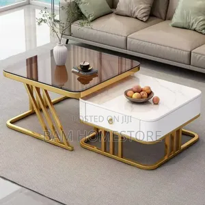Elegant Coffee Table Set 2 in 1