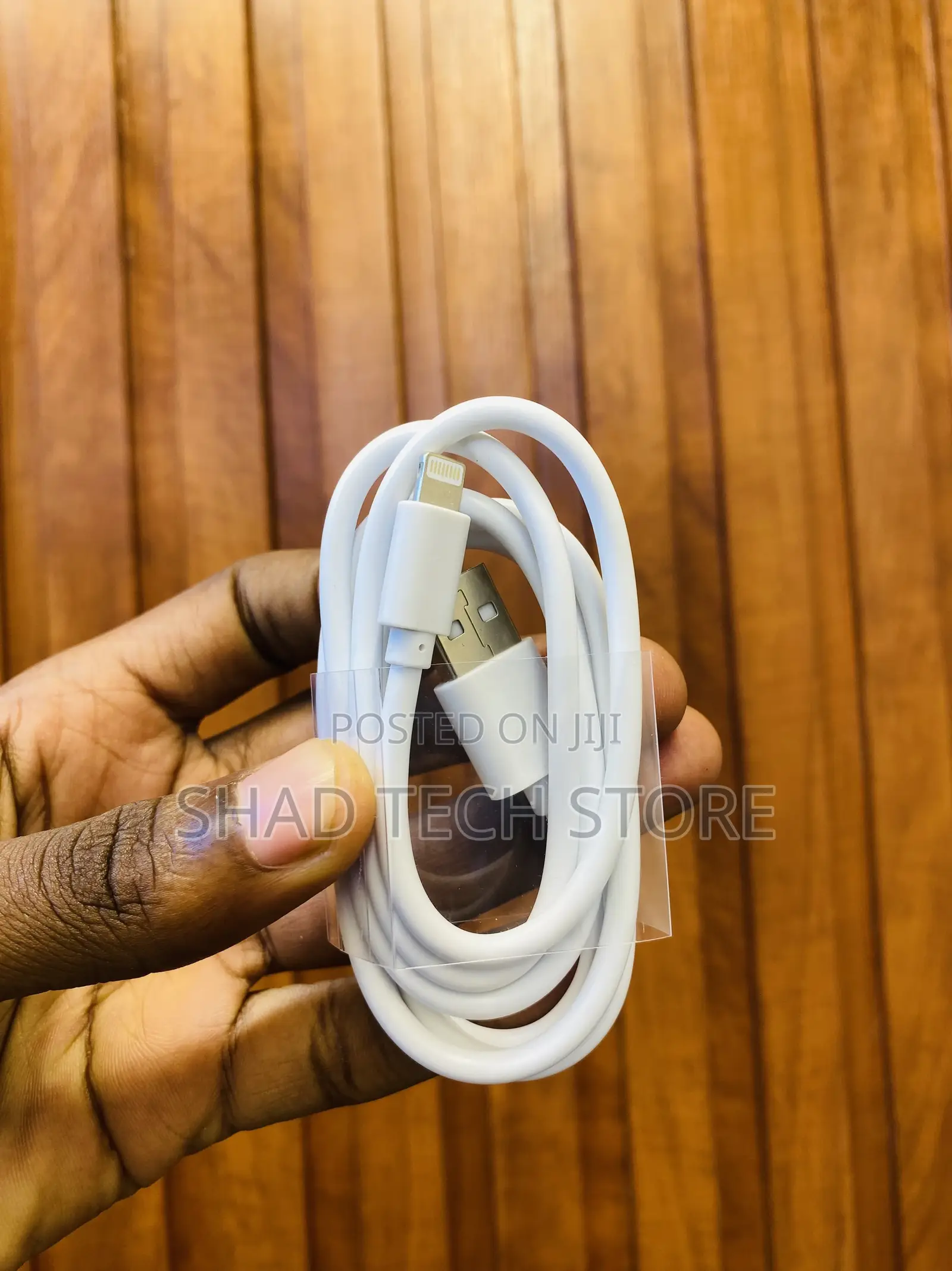 iPhone Fast Charger