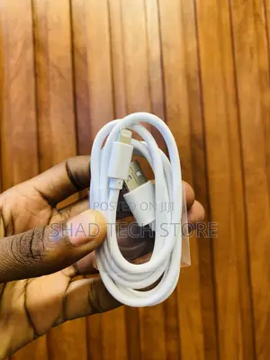 iPhone Fast Charger